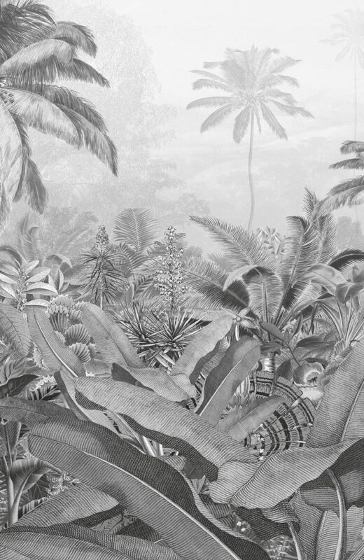 Papier peint jungle Amazonia_Komar